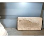 DECORATION FOSSILE PLAQUE