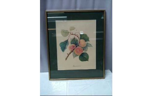 KUNSTDRUCK I.R. BOTANICA PFIRSICHE