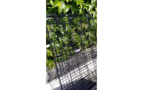 CAGE POUR CHIEN XL  METAL