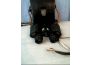 Troc - Image Produit