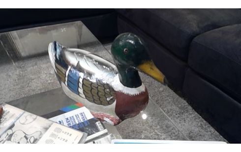 CANARD PAPIER MACHE
