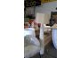 Troc - Image Produit