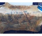 TAPISSERIE MOTIF FORET