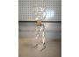 Troc - Image Produit