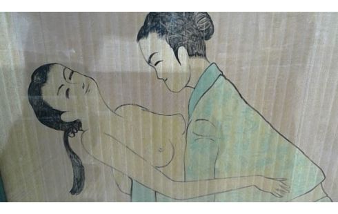 CADRE SHUNGA 