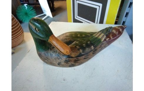 CANARD BOIS