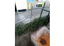 Troc - Image Produit