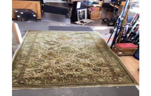 TAPIS VERT 295/195