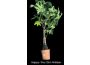 Troc - Image Produit
