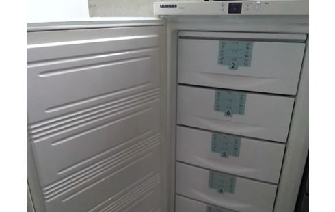 CONGELATEUR ARMOIRE LIEBHERR 6T