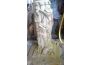 Troc - Image Produit
