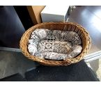 PANIER CHIEN AVEC COUSSIN