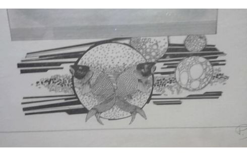 LITOGRAFÍA NUMERADA