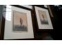 Troc - Image Produit