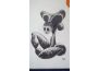 Troc - Image Produit
