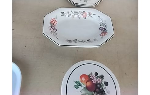 SAUCIER DIVERS PLAT ANGLAIS