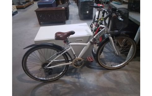 VELO ENFANT BTWIN