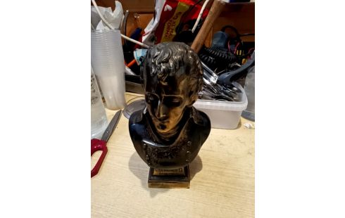 BUSTE LAITON NAPOLÉON