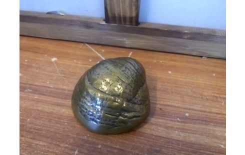 DECORATION COQUILLAGE MM