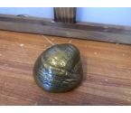 DECORATION COQUILLAGE MM