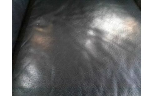 CANAPE 2P CUIR NOIR (GRIFFURES)