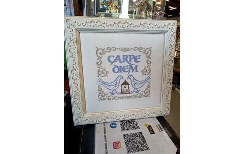 CADRE DECO CARPE DIEM