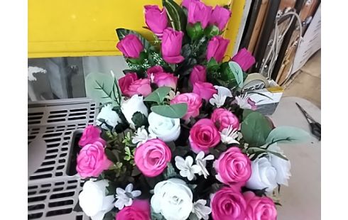 FAUSSE PLANTE