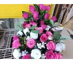 FAUSSE PLANTE