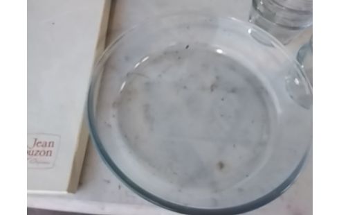 PLAT PYREX