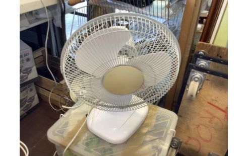 VENTILATEUR BLANC PM
