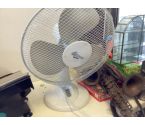 VENTILATEUR BLANC ROVEX