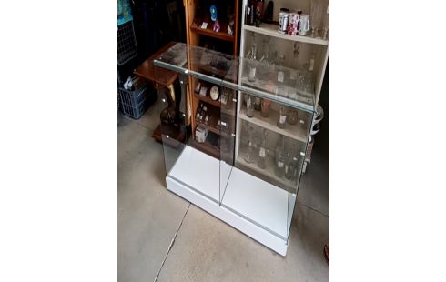 VITRINE BASSE DOUBLE