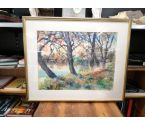 AQUARELLE BORD D'ETANG