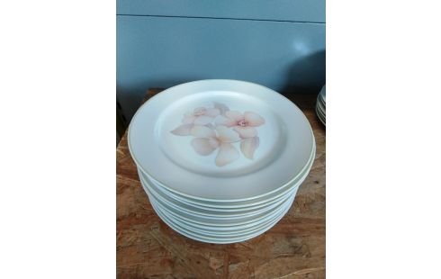 ASSIETTE LIMOGES X12