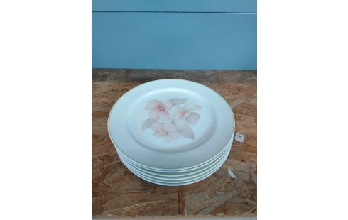 ASSIETTE LIMOGES X6