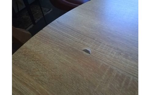 TABLE RONDE BOIS D120 (UN ECLAT)