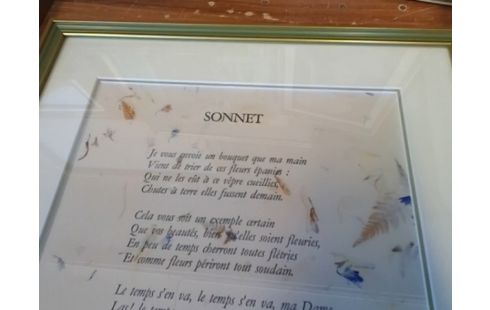 CADRE SONNET