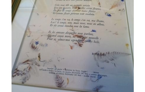 CADRE SONNET