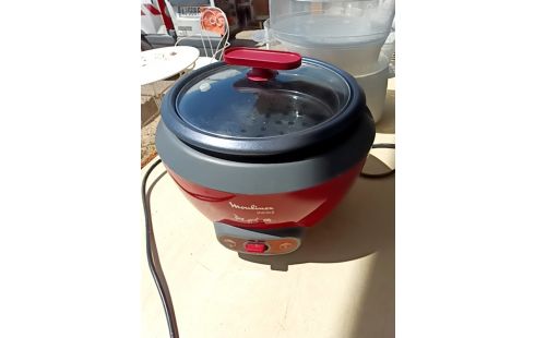 CUISEUR RIZ MOULINEX