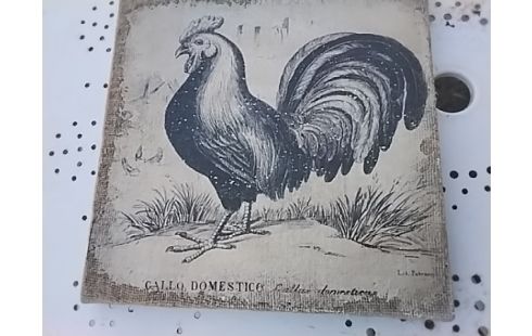 CADRE REPRO CARRE