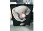 Troc - Image Produit