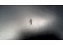 Troc - Image Produit