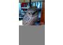 Troc - Image Produit