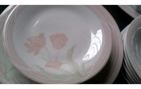 SERVIES WIT ROZE