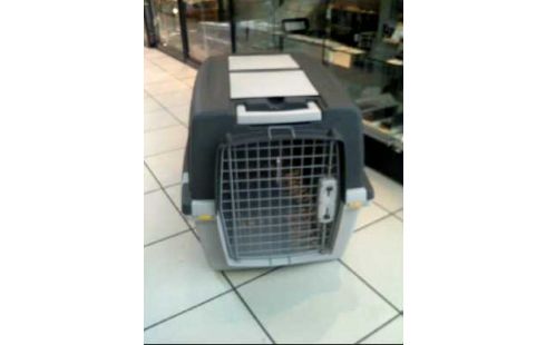 HUNDETRANSPORTBOX GRAU <GULLIVER>