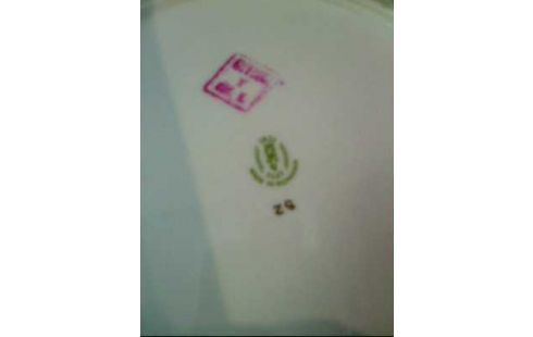 TELLER <CLJI-NAPOCA> PORZELLAN FLORAL GOLDF.