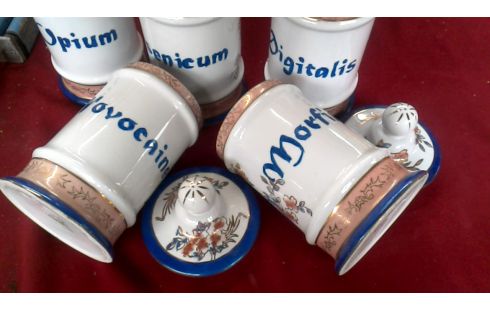KRUIDENPOT LOT VAN