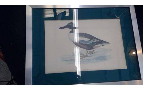 CADRE CANARD L'UN 