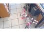 Troc - Image Produit