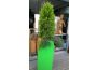 Troc - Image Produit